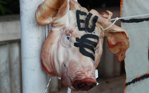 Pig-be2130ea0e6610b3542f7faf5611b10c-