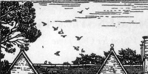 Nfn_frontispiece-