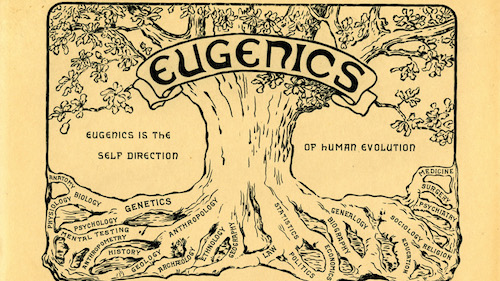 Eugenics__tree-