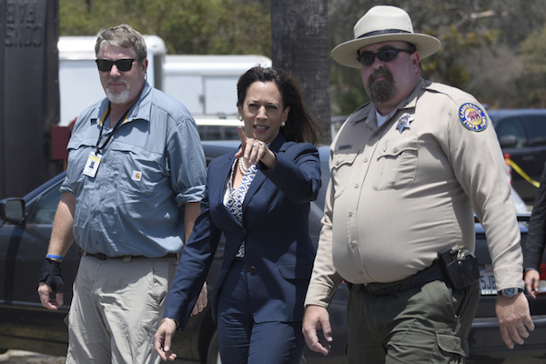 Kamala_harris_chips-